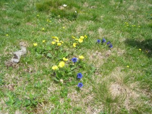 IMG_9209